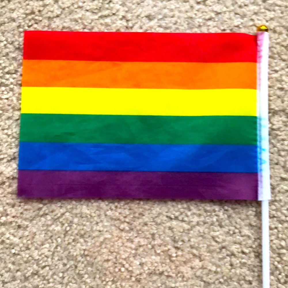 LGBTQ flag mini